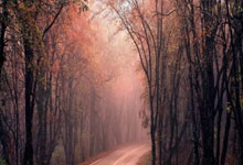 旺财28:10分钟丢2球!颜骏凌低级失误坑惨球队,博主质问:凭啥进国足?.