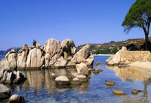 旺财28:WTT新加坡大满贯抽签结果出炉.